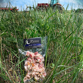 Bacon Bits - Dry Cured